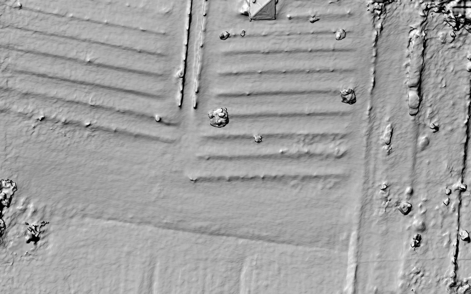 Hillshade of the vineyard surface model: the vine rows read as fine parallel ridges, with taller, rougher texture along the treelines and two bright access tracks.